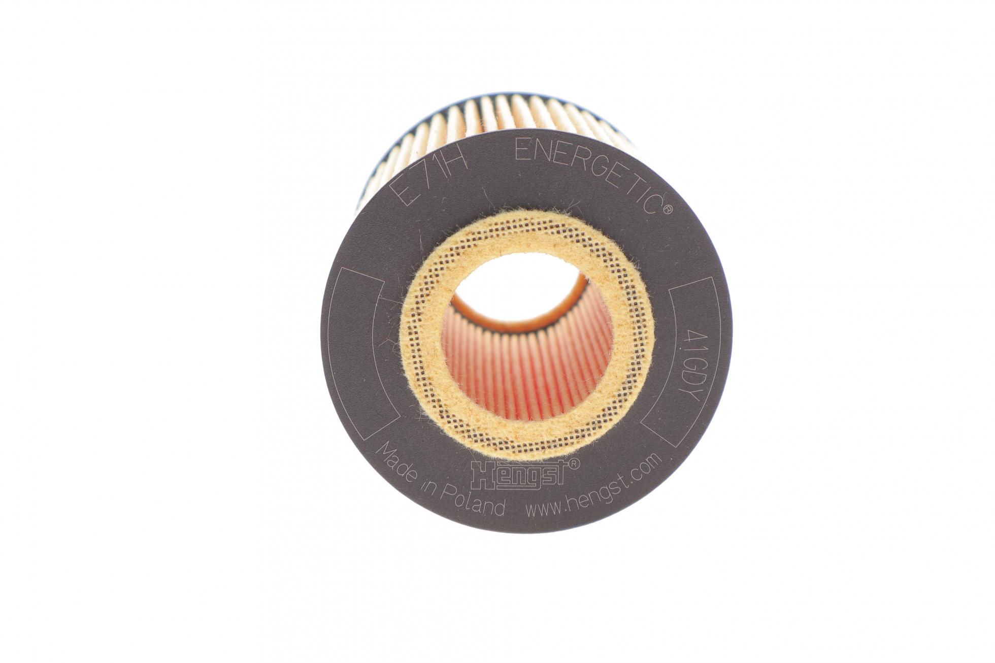 E71HD141 HENGST FILTER